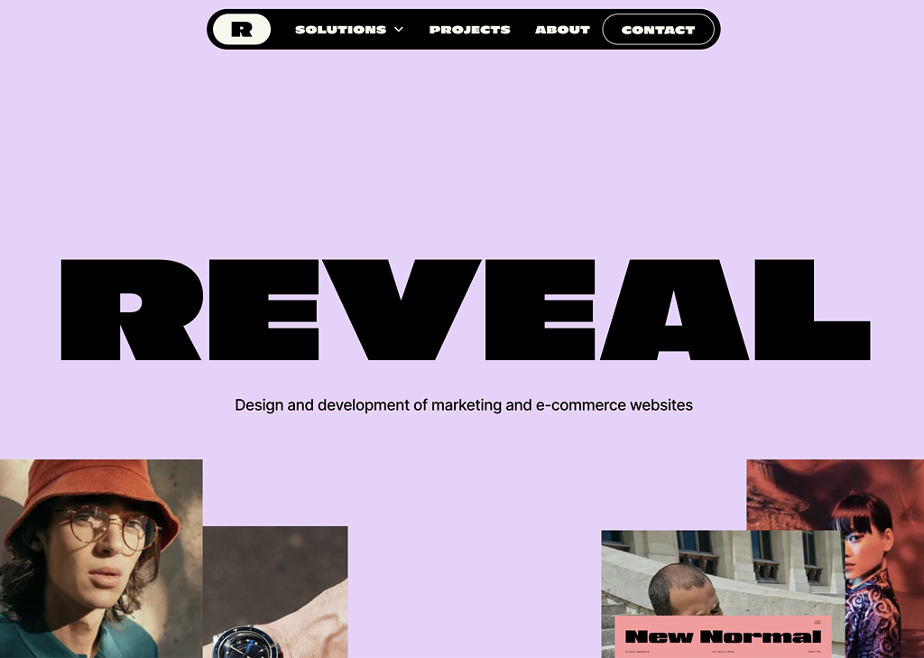 reveal website